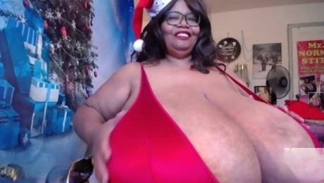 Wishing U Happy Holidays - Norma Stitz